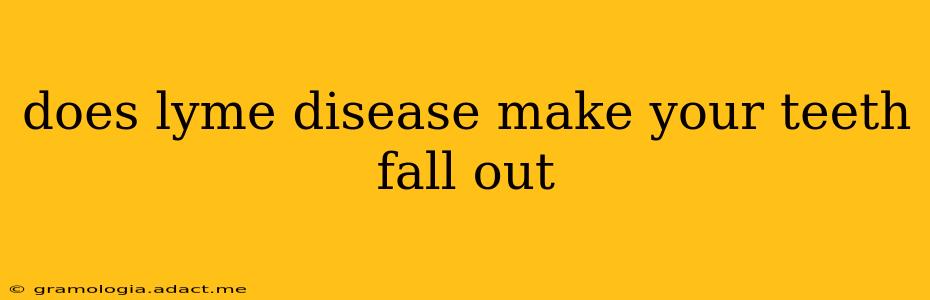 does lyme disease make your teeth fall out