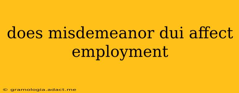 does misdemeanor dui affect employment