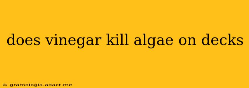 does vinegar kill algae on decks