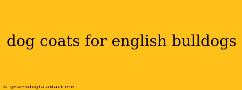 dog coats for english bulldogs