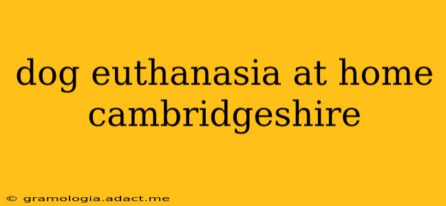 dog euthanasia at home cambridgeshire