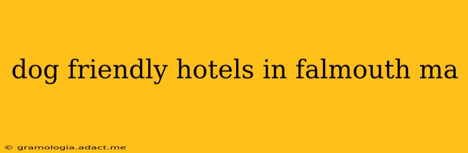 dog friendly hotels in falmouth ma