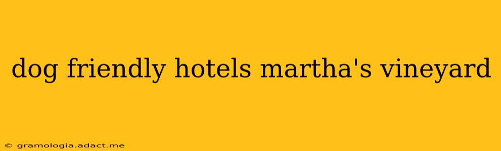 dog friendly hotels martha's vineyard