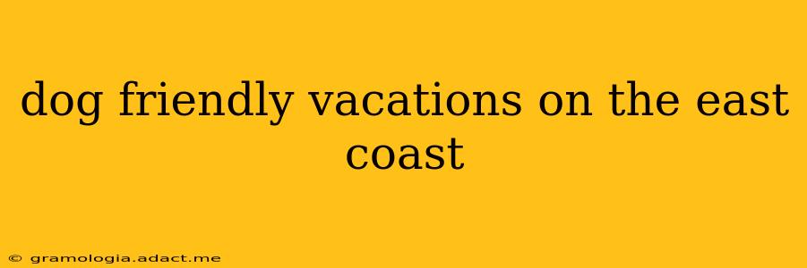 dog friendly vacations on the east coast