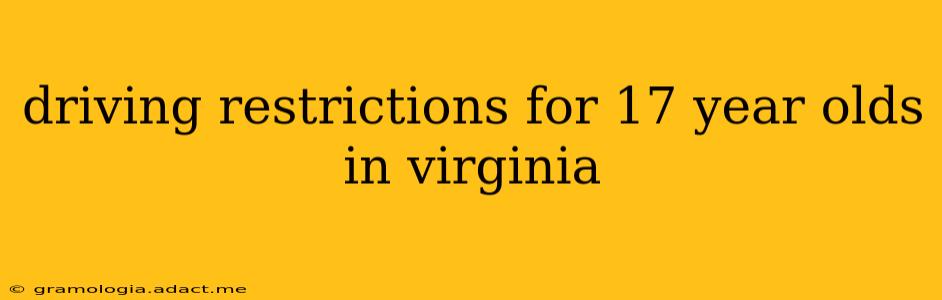 driving restrictions for 17 year olds in virginia