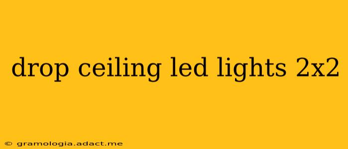 drop ceiling led lights 2x2