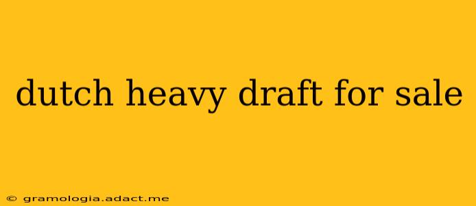dutch heavy draft for sale