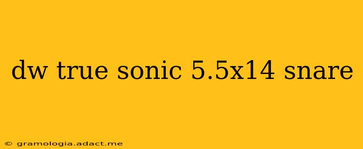 dw true sonic 5.5x14 snare