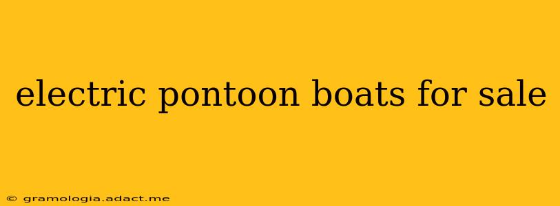 electric pontoon boats for sale