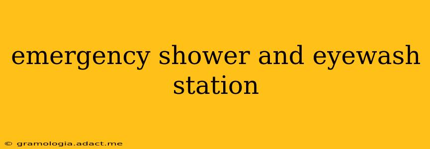 emergency shower and eyewash station