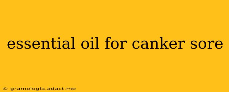 essential oil for canker sore