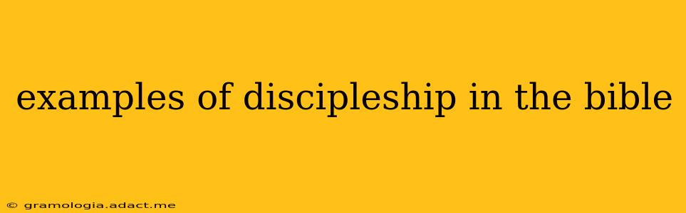 examples of discipleship in the bible