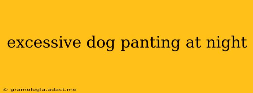excessive dog panting at night