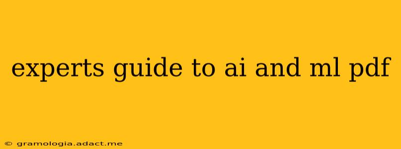experts guide to ai and ml pdf