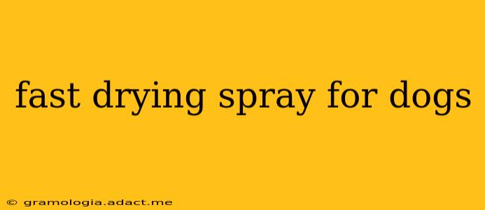 fast drying spray for dogs