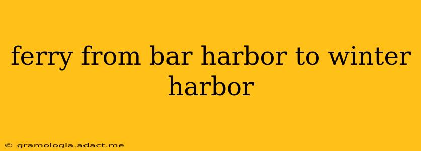 ferry from bar harbor to winter harbor