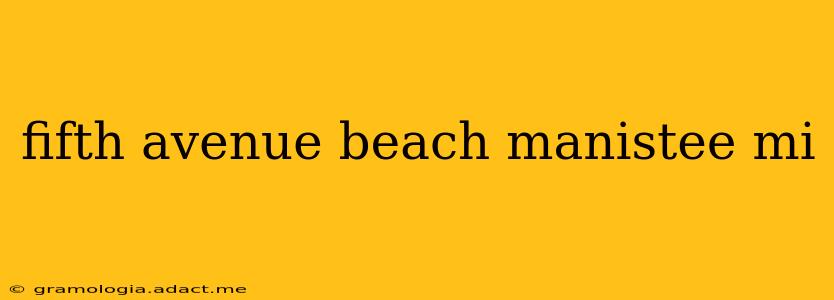 fifth avenue beach manistee mi