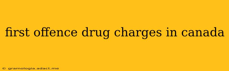 first offence drug charges in canada