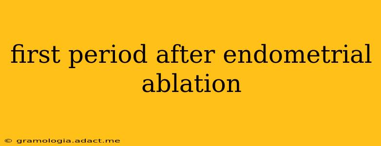 first period after endometrial ablation