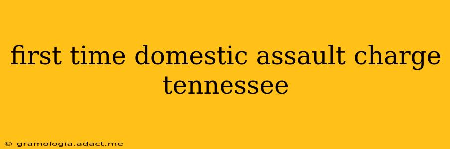 first time domestic assault charge tennessee