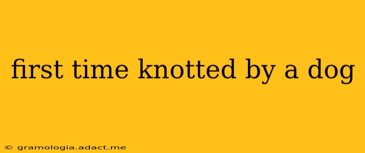 first time knotted by a dog