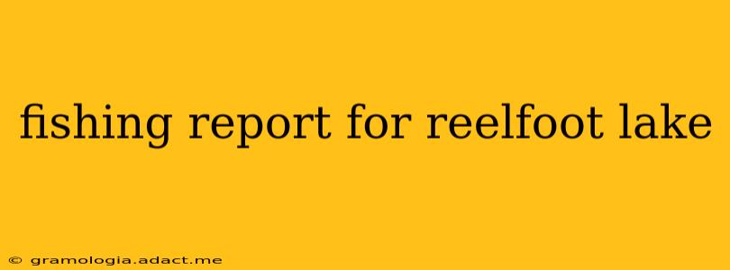 fishing report for reelfoot lake