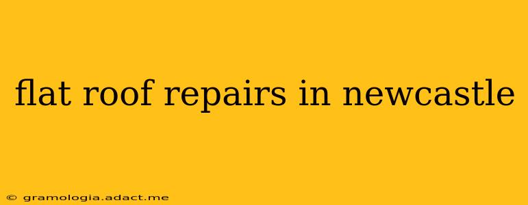 flat roof repairs in newcastle