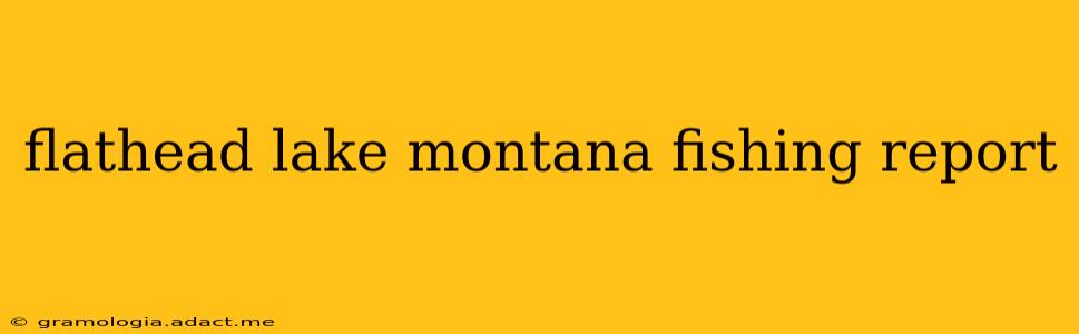 flathead lake montana fishing report