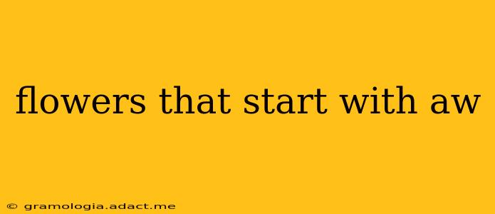 flowers that start with aw