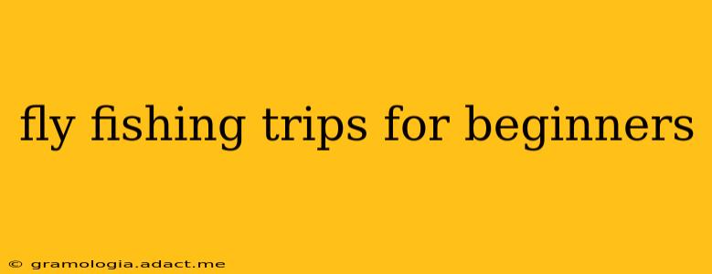 fly fishing trips for beginners