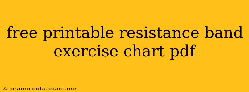 free printable resistance band exercise chart pdf