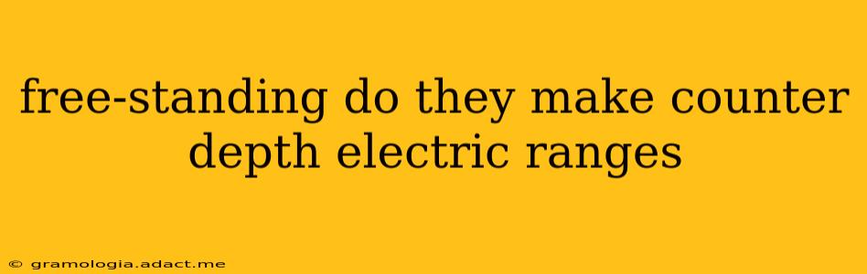 free-standing do they make counter depth electric ranges