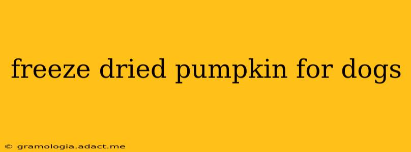 freeze dried pumpkin for dogs