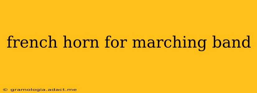 french horn for marching band