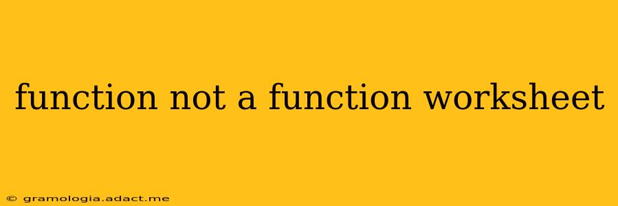 function not a function worksheet