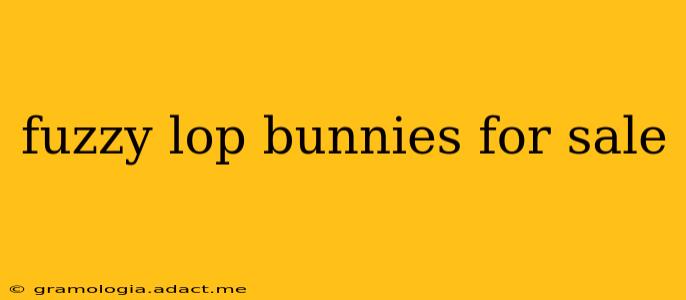 fuzzy lop bunnies for sale