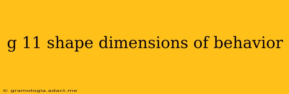 g 11 shape dimensions of behavior