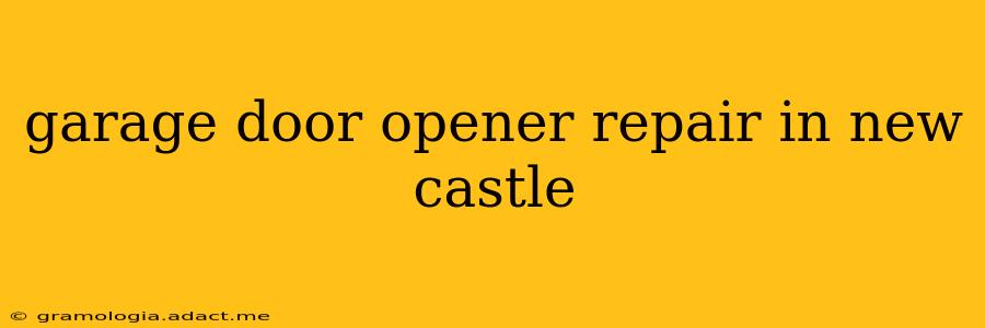 garage door opener repair in new castle
