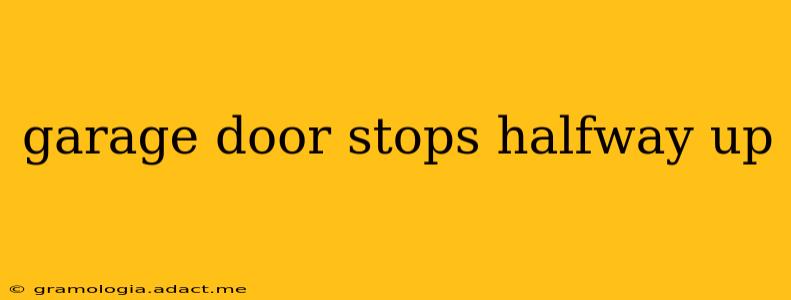 garage door stops halfway up