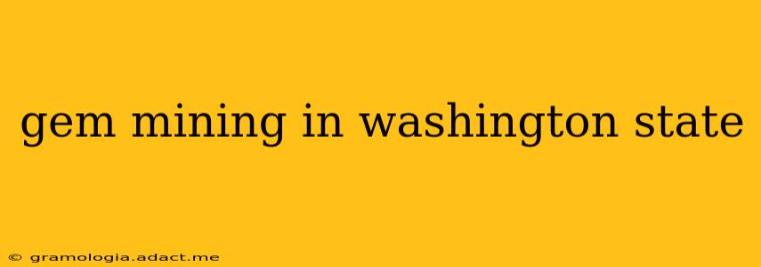 gem mining in washington state