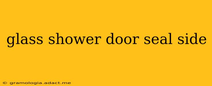 glass shower door seal side