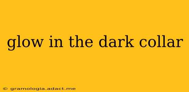 glow in the dark collar