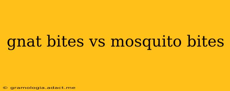 gnat bites vs mosquito bites
