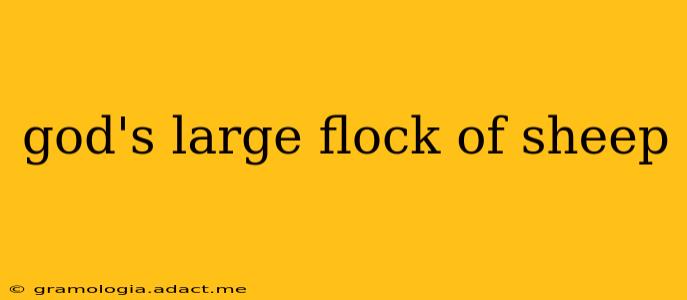 god's large flock of sheep