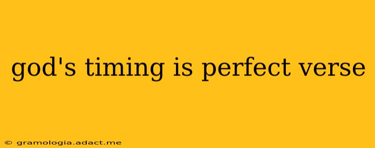 god's timing is perfect verse