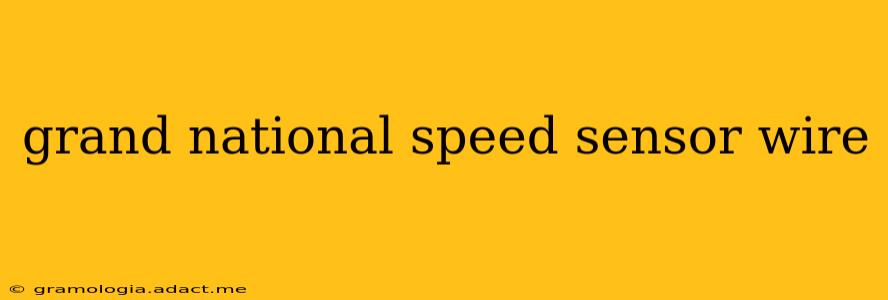 grand national speed sensor wire