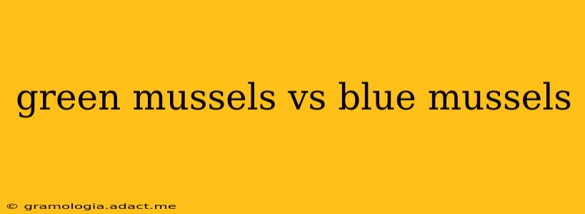 green mussels vs blue mussels