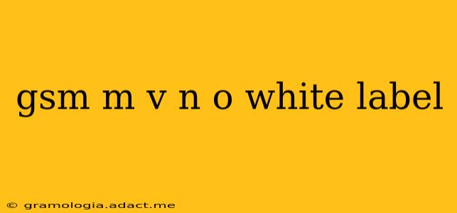 gsm m v n o white label
