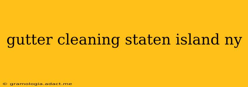 gutter cleaning staten island ny