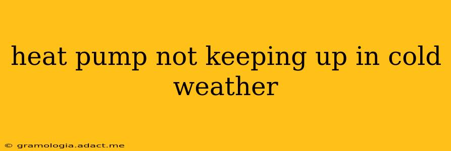 heat pump not keeping up in cold weather